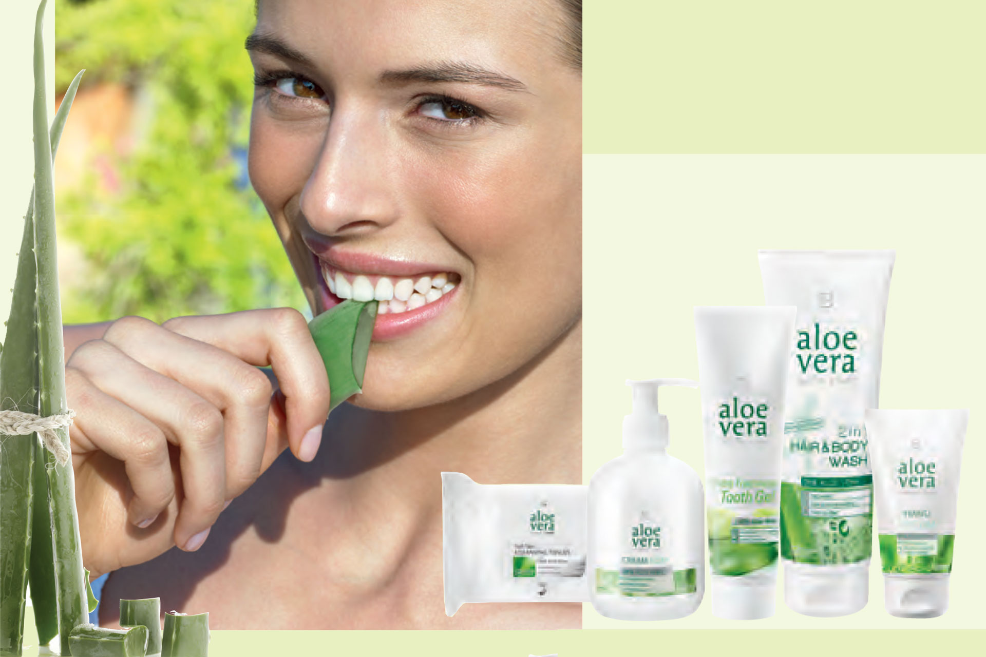 Aloe Vera Básico - cuidado corporal