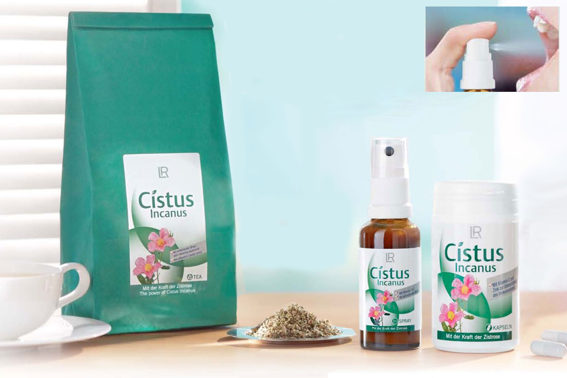 Cistus Incanus - extracto puro de flor de jara